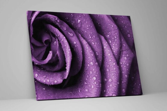 Tablou Violet Roses